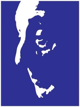 academy_logo