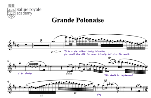 Sheet music grand polonaise, op. 16